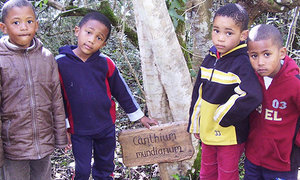 Eco-Schools Platinum for our Early Learning Centre